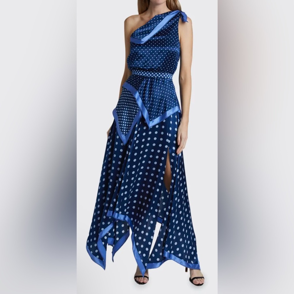 NWT Altuzarra Petrel Polka-Dotted Silk Handkerchief
Dress